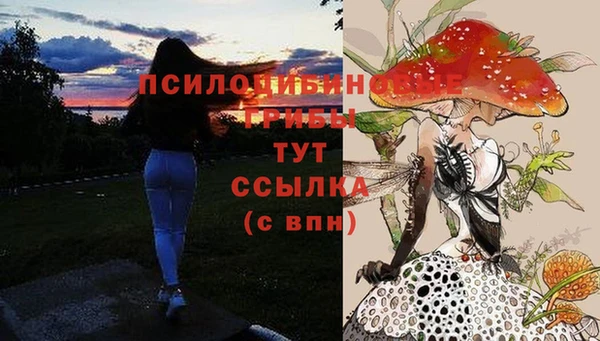 2c-b Елизово