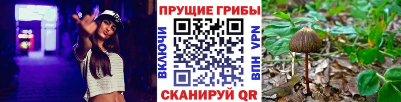 Галлюциногенные грибы ЛСД  блэк спрут сайт  Миньяр 