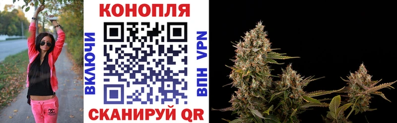 Канабис ГИДРОПОН  ОМГ ОМГ ТОР  Миньяр 